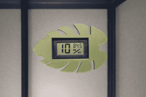 Hygrometer Monstera Closeup Hygrometer Monstera Closeup