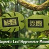 Hygrometer Plant Thumbnail